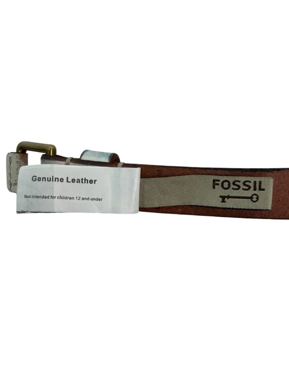 Fossil explorer genuine
